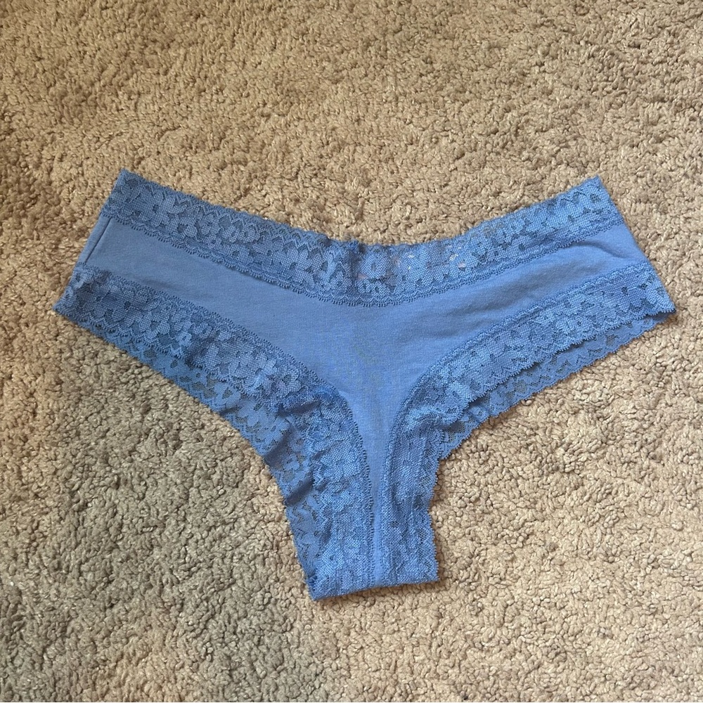 NWOT Victoria's Secret Lace Trim Cheeky Panty in Dusty Blue Large